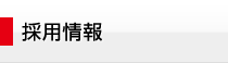 採用情報