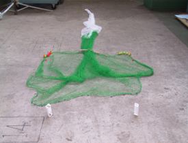 その他特殊試験（Special programmed test）