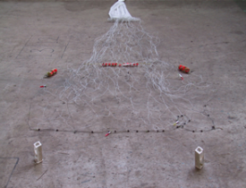 その他特殊試験（Special programmed test）