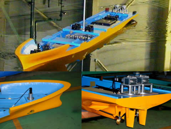 その他特殊試験（Special programmed test）