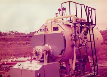 1966