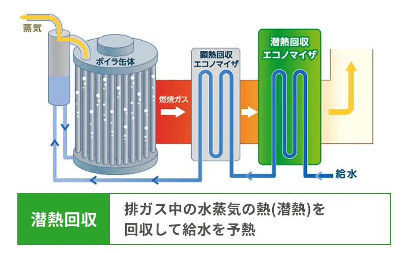 潜熱回収型貫流ボイラの仕組み図