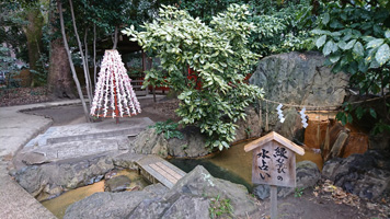写真／生田神社で初詣