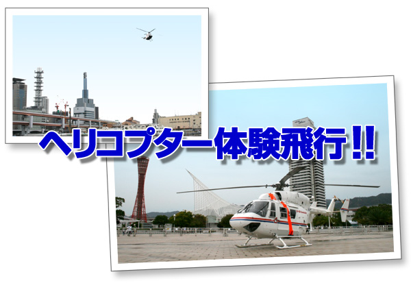 wRv^[̌sII