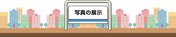 ʐ^̓W