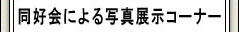 Dɂʐ^WR[i[