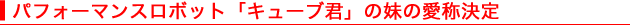 ptH[}X{bguL[uNv̖̈̌
