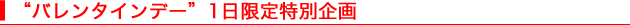 �g�o�����^�C���f�[�h1��������ʊ��