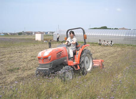 写真/緑肥農法による米づくり