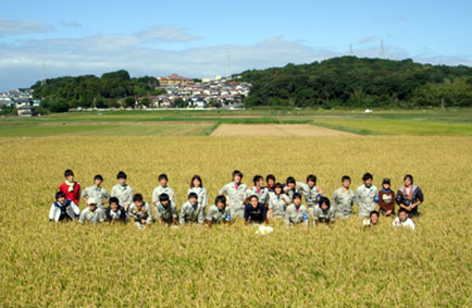 写真／稲刈り