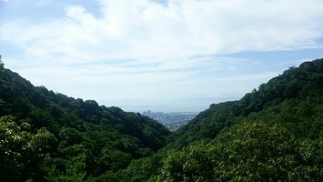 写真／課内のコミュニケーション