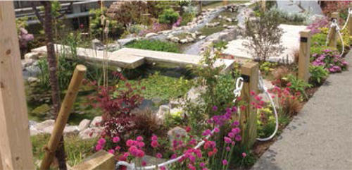2019年4月現在のビオトープの様子。季節によってさまざまな花が咲きます。