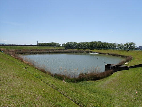 Kawasaki神戸岩岡ビオトープ